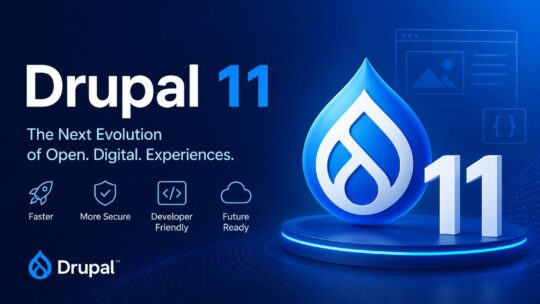 Drupal 11 visual: branding for the August 2024 release